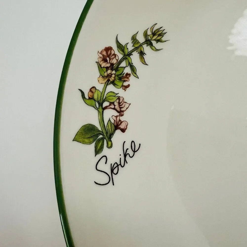 OVER AND BACK Stoneware Green Rim 